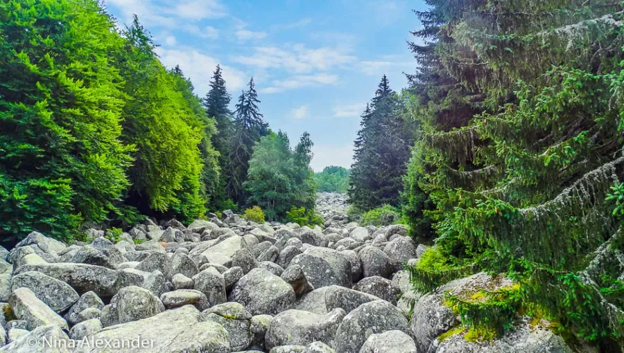 Mount Vitosha