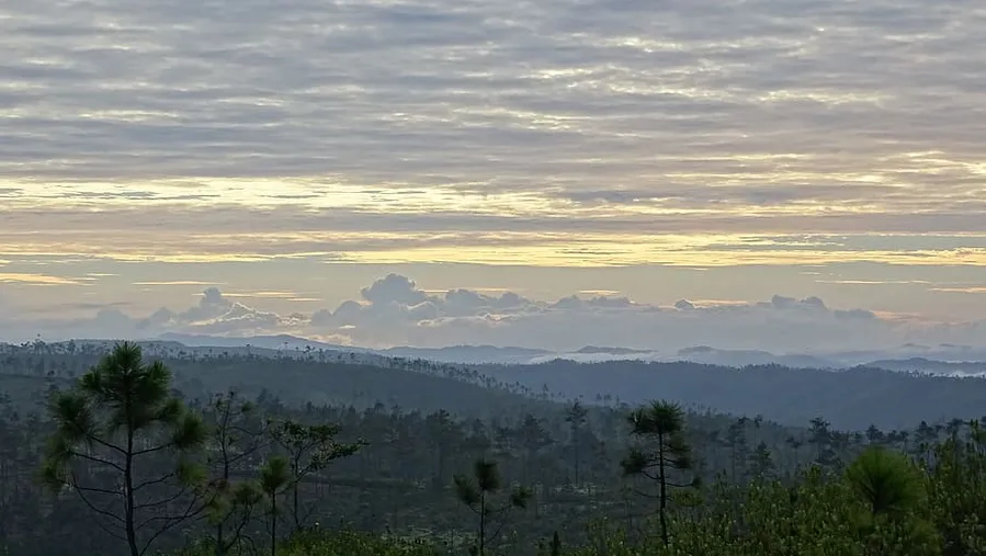 Mountain Pine Ridge Forest Reserve
