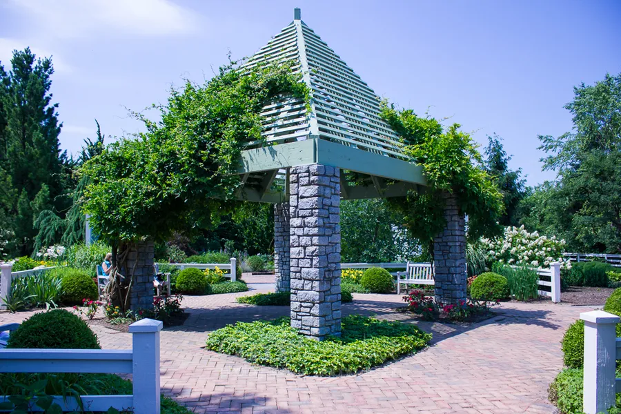 Mountain Top Arboretum