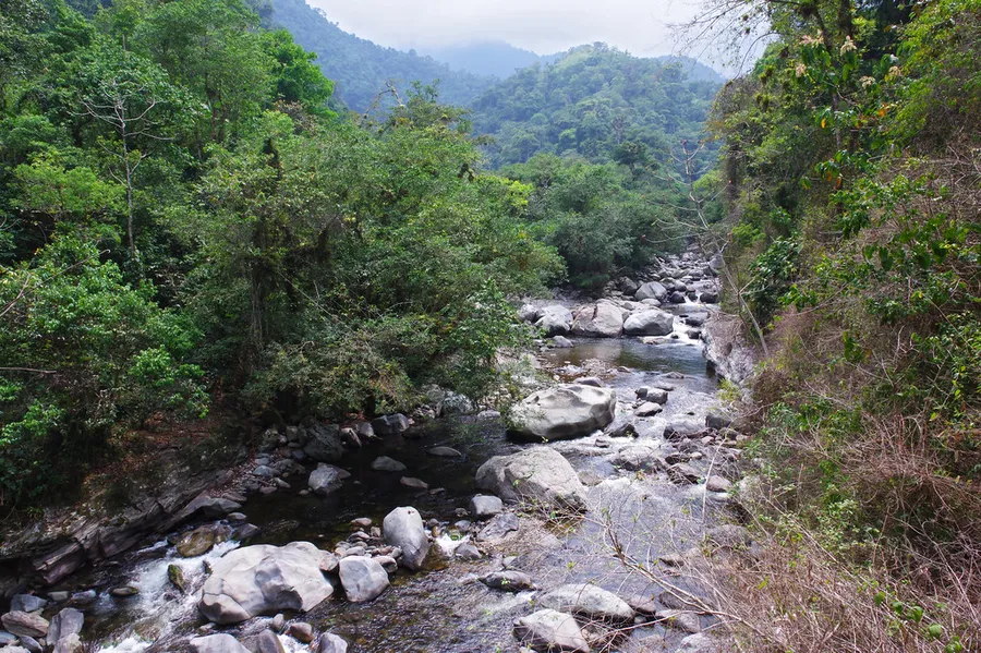 Mouth of the Buritaca River