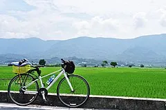 Mr. Brown Avenue (Chishang Township)