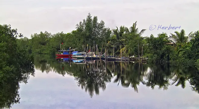 Muar River Cruise