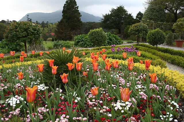 Muckross House, Gardens & Traditional Farms