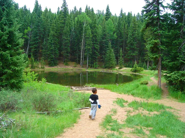 Mueller State Park