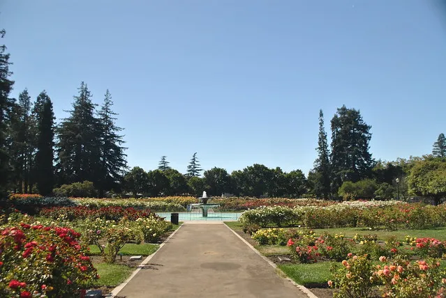 Municipal Rose Garden