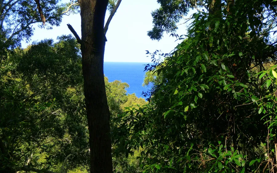 Murramarang National Park