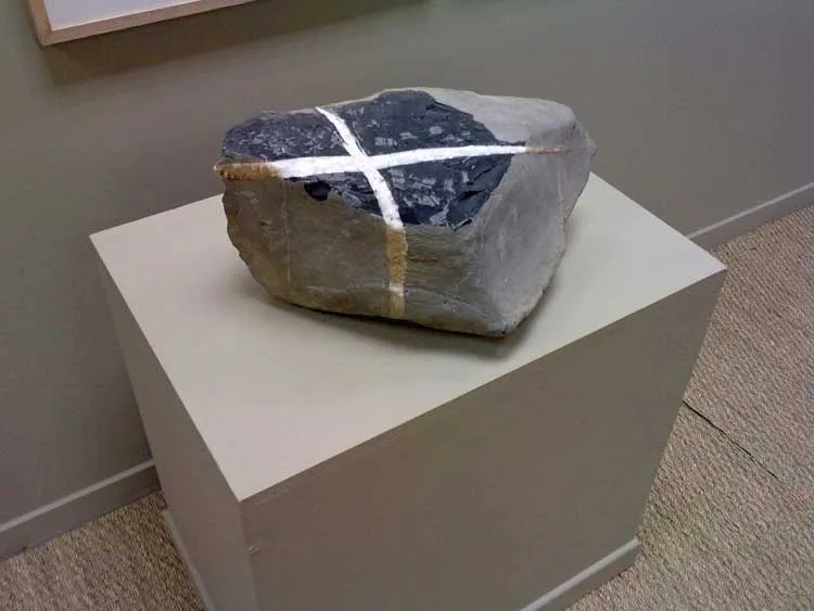 Musée Gassendi