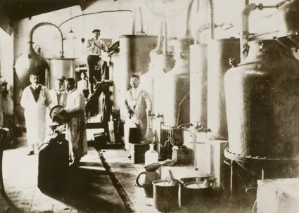 Musée International de la Parfumerie (International Perfume Museum)