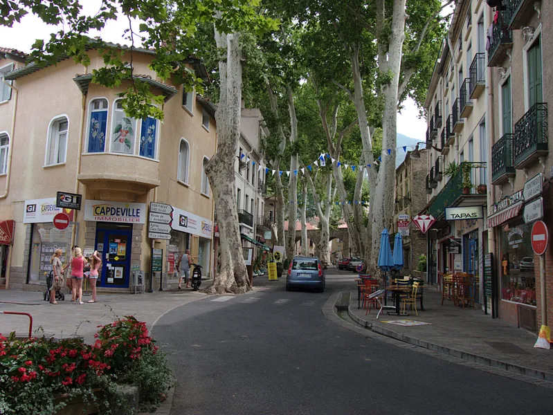 Musée d'Art Moderne de Céret