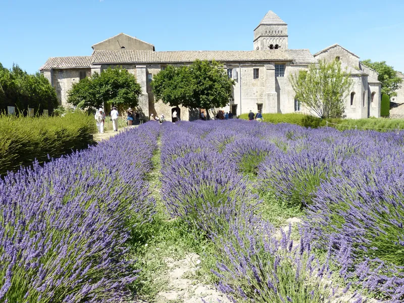 Musée des Alpilles