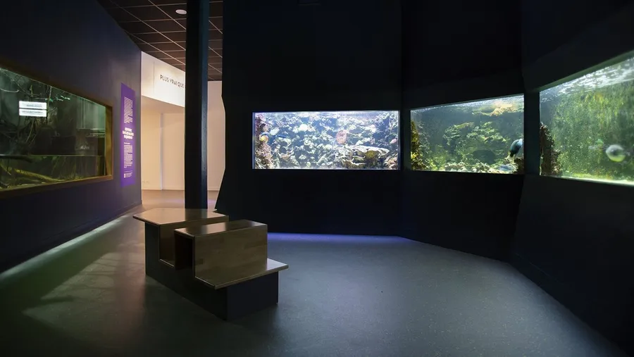 Muséum-Aquarium de Nancy