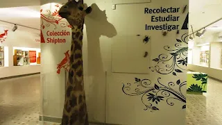 Museo Arqueológico Dr. Juan B. Terán