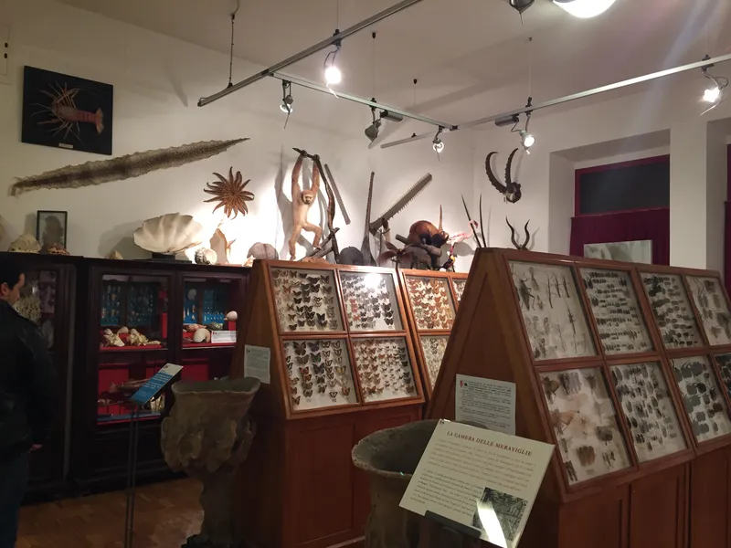 Museo Civico di Scienze Naturali