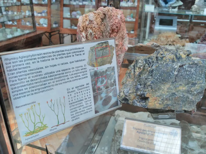 Museo Geológico Minero