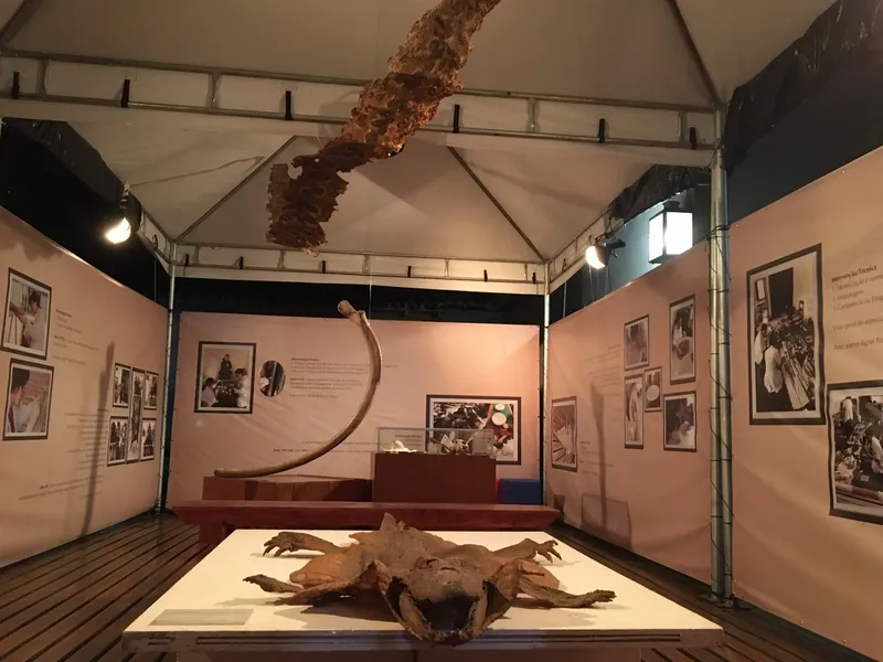 Museo Regional de Diamante