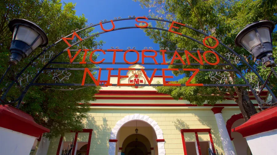 Museo Victoriano Niévez Céspedes