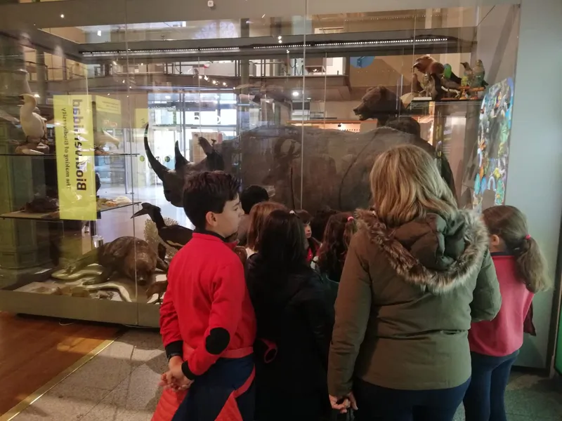 Museo de Ciencias Naturales