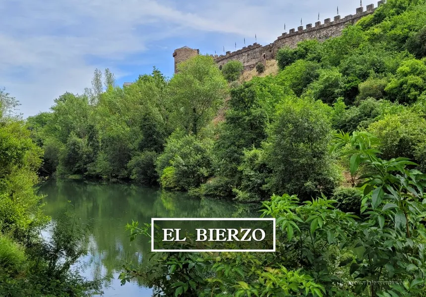 Museo de Ciencias Naturales del Bierzo