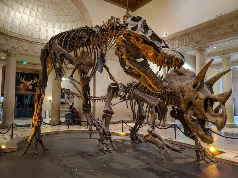 Museo de Historia Natural (Natural History Museum)