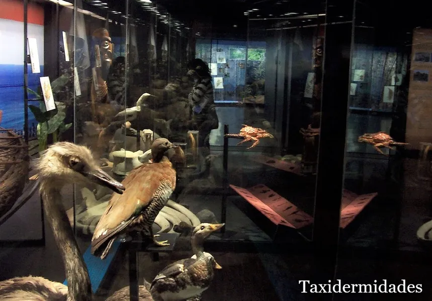Museo de Historia Natural e Histórico de San Antonio