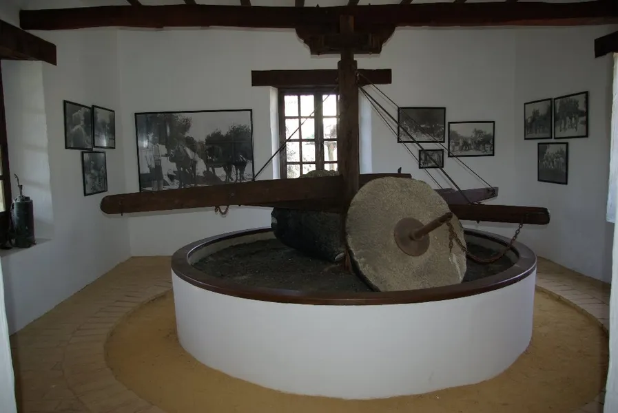 Museo de la Cultura del Olivo