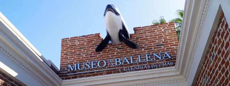 Museo de las Ballenas (Whale Museum)