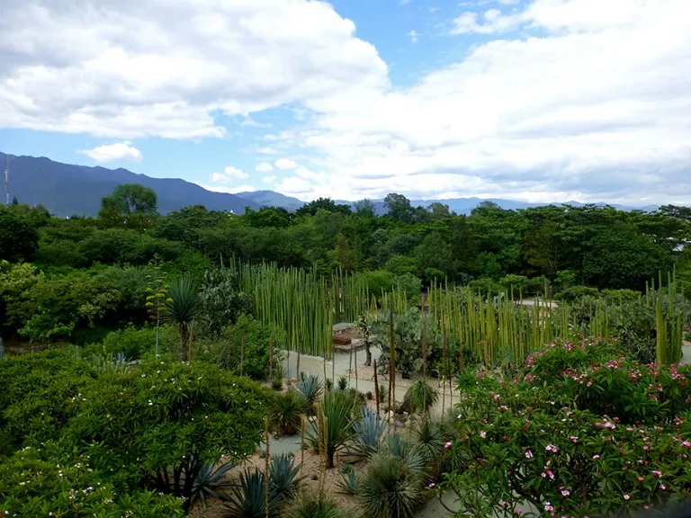 Museo de las Culturas de Oaxaca