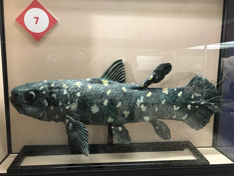 Museo di Scienze Naturali Enrico Caffi
