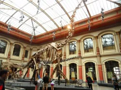 Museum für Naturkunde Karlsruhe