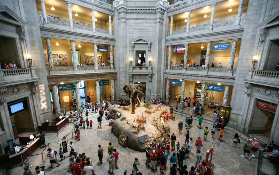 Museum of Arts and Sciences