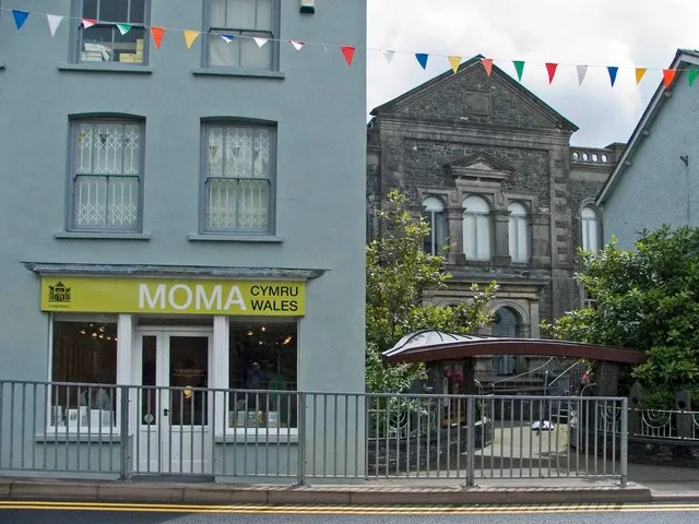 Museum of Modern Art, Wales (MOMA Wales)