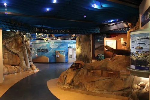 Museum of Natural History