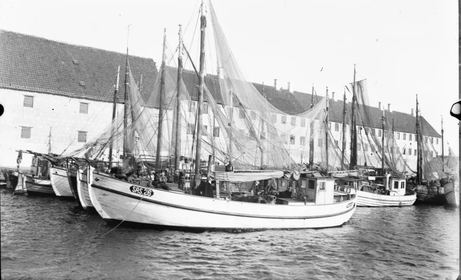 Museum of Sea Fishery