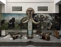 Museum of Vojvodina