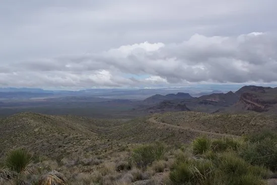 Museum of the Big Bend