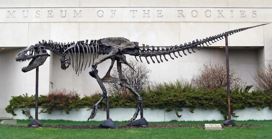 Museum of the Rockies Planetarium
