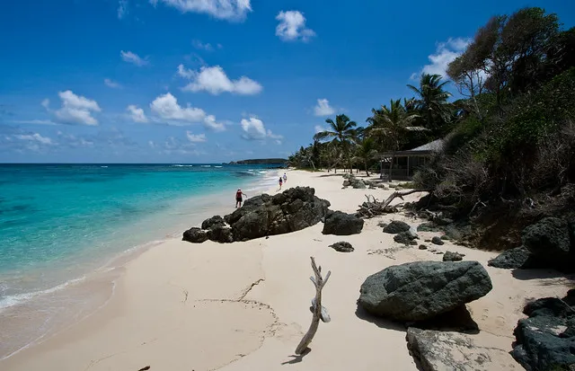 Mustique Firefly