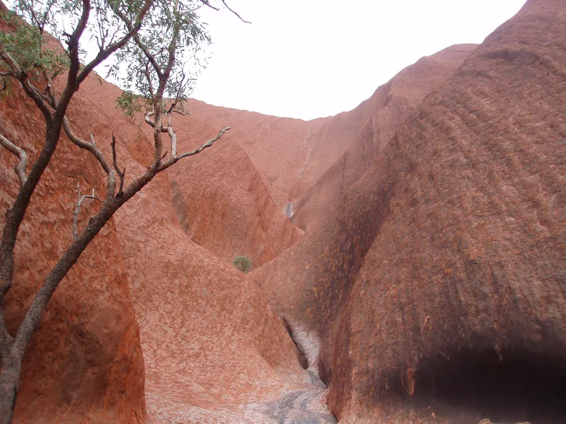 Mutitjulu Waterhole