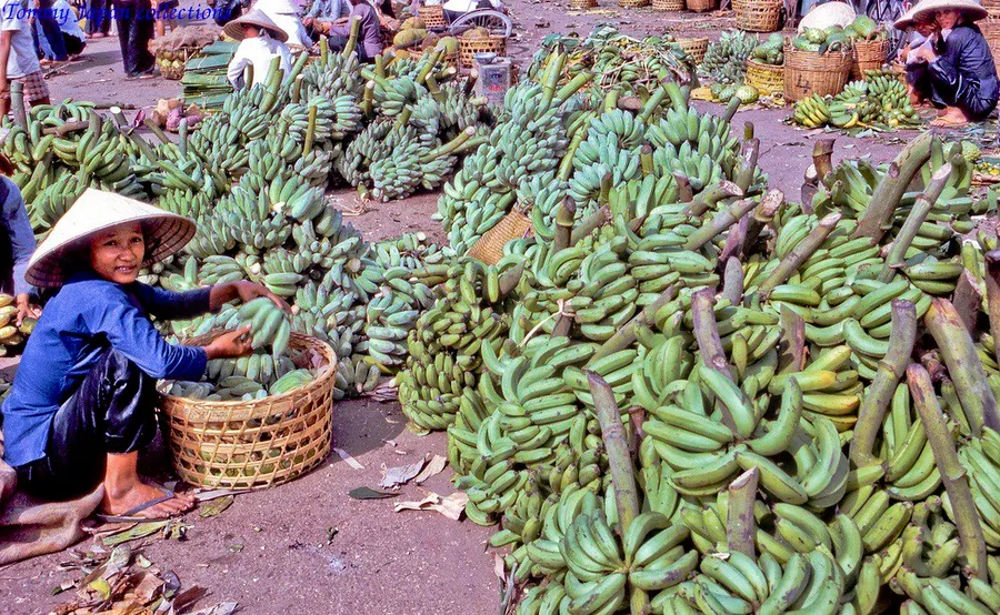 My Tho Market