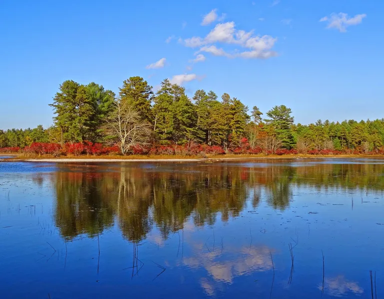Myles Standish State Forest