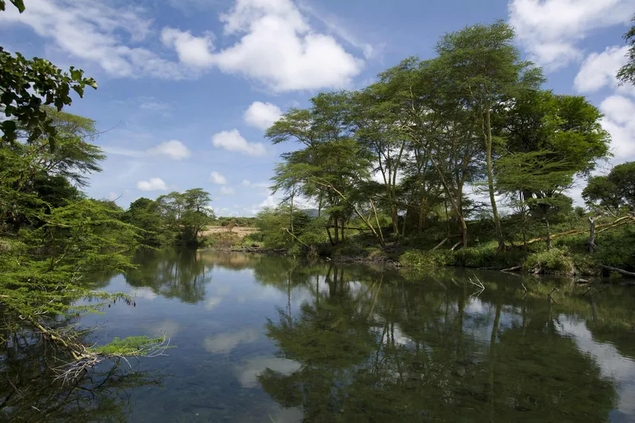 Mzima Springs