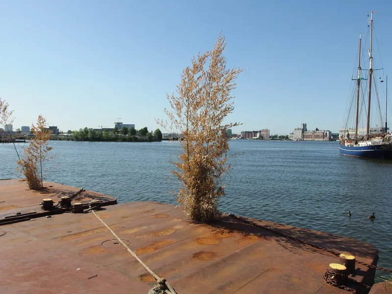NDSM Wharf