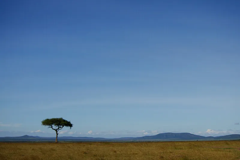 Naboisho Conservancy