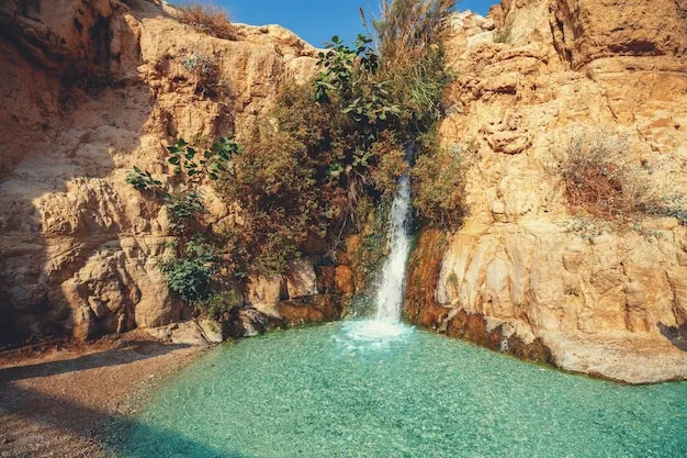 Nahal David Waterfall