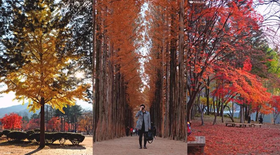 Nami Island