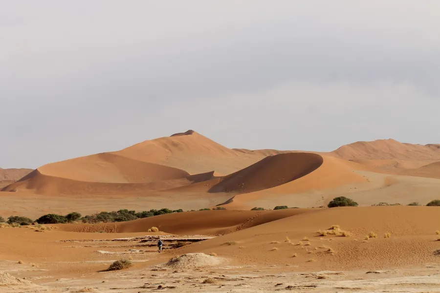 Namib-Naukluft National Park