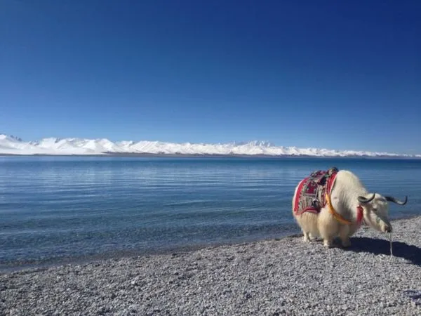 Namtso Lake (longer trip)