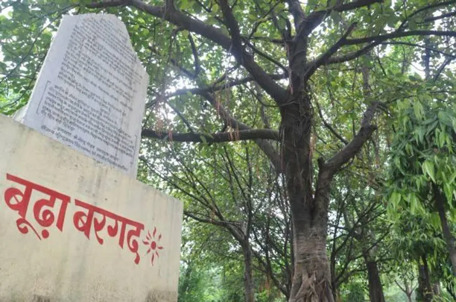 Nana Rao Park