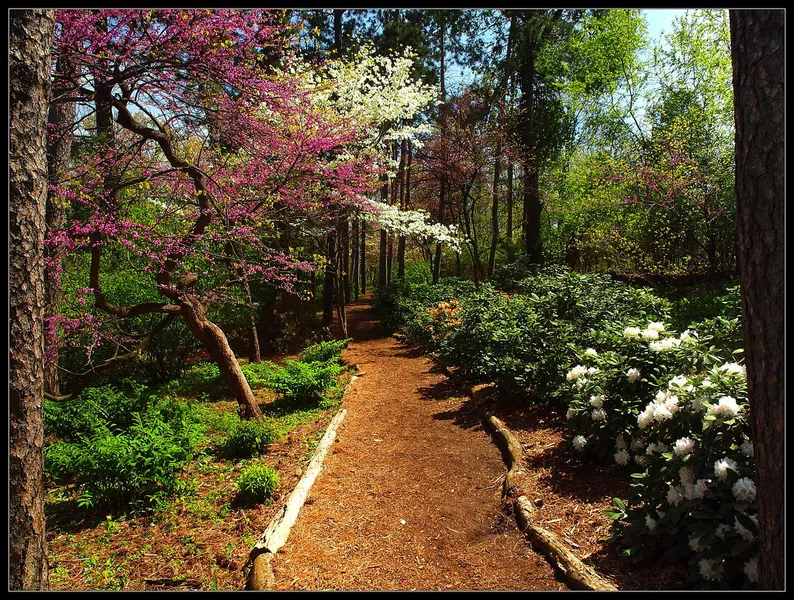 Nannen Arboretum