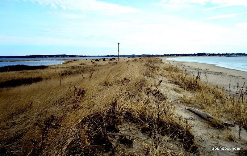 Napatree Point Conservation Area